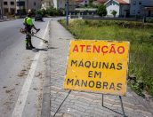 Galeria de Fotos - (Português) Município procede a limpeza e manutenção da Via Pública