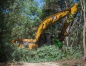 Galeria de Fotos - Controlo e Erradicação de Espécies Exóticas Invasoras em Áreas da Rede Natura 2000