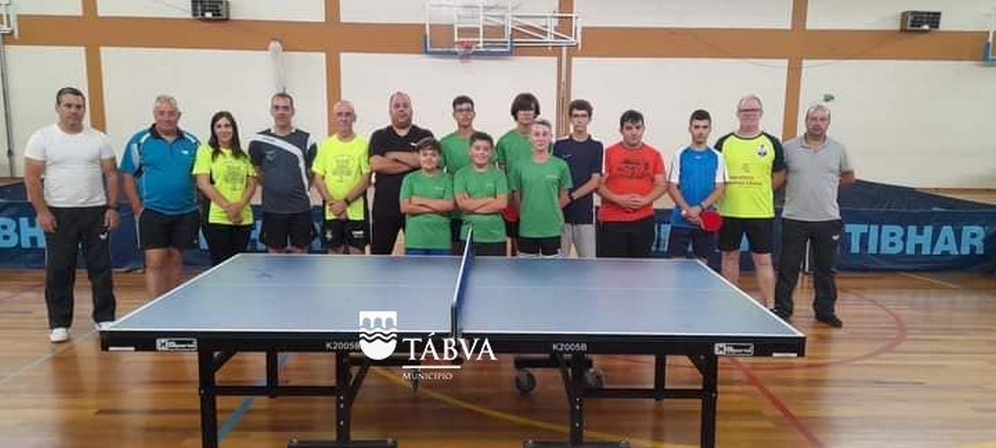 Mesa De Ping Pong Usada Bh