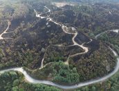 Galeria de Fotos - RICARDO CRUZ QUER AIGP ESPECÍFICA PARA TERRITÓRIO AFETADO PELOS INCÊNDIOS