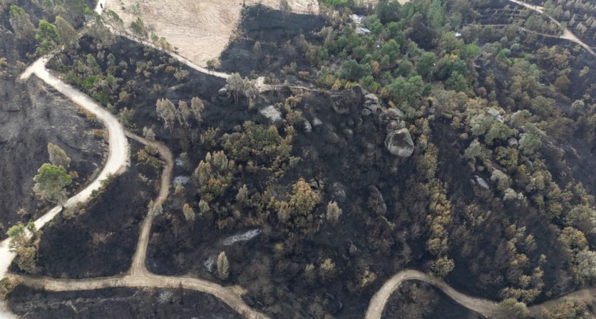 RICARDO CRUZ QUER AIGP ESPECÍFICA PARA TERRITÓRIO AFETADO PELOS INCÊNDIOS