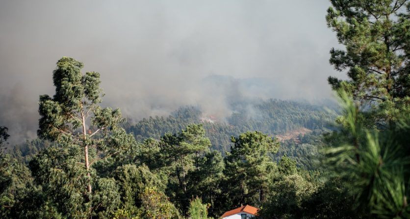 (Português) Medidas de Apoio aos Afetados pelos Incêndios Disponíveis no Concelho de Tábua