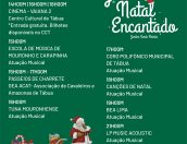 Galeria de Fotos - (Português) Jardim de Natal Encantado transforma Tábua num cenário mágico!