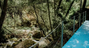 Vale de Gaios1