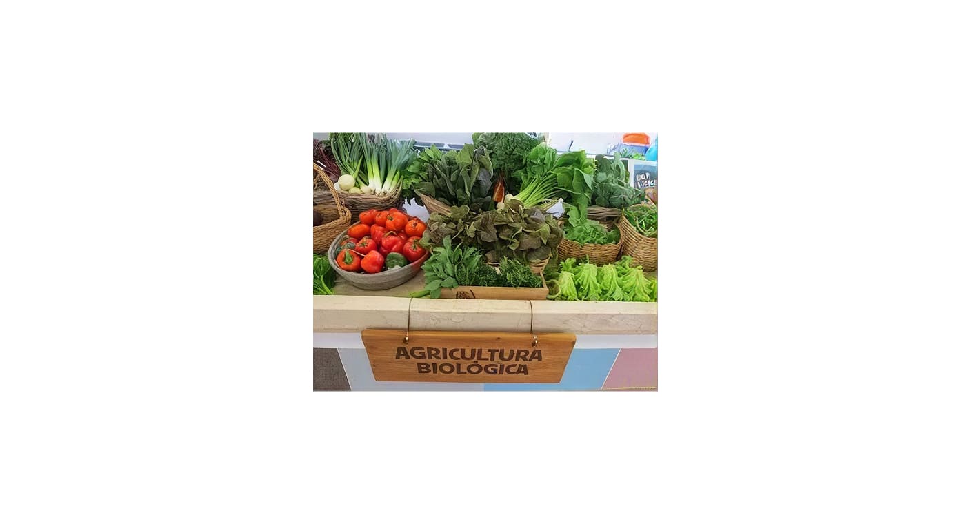 Legumes frescos representam a agricultura biológica