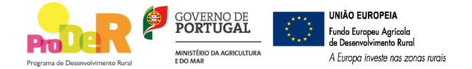 Imagem que acompanha o texto