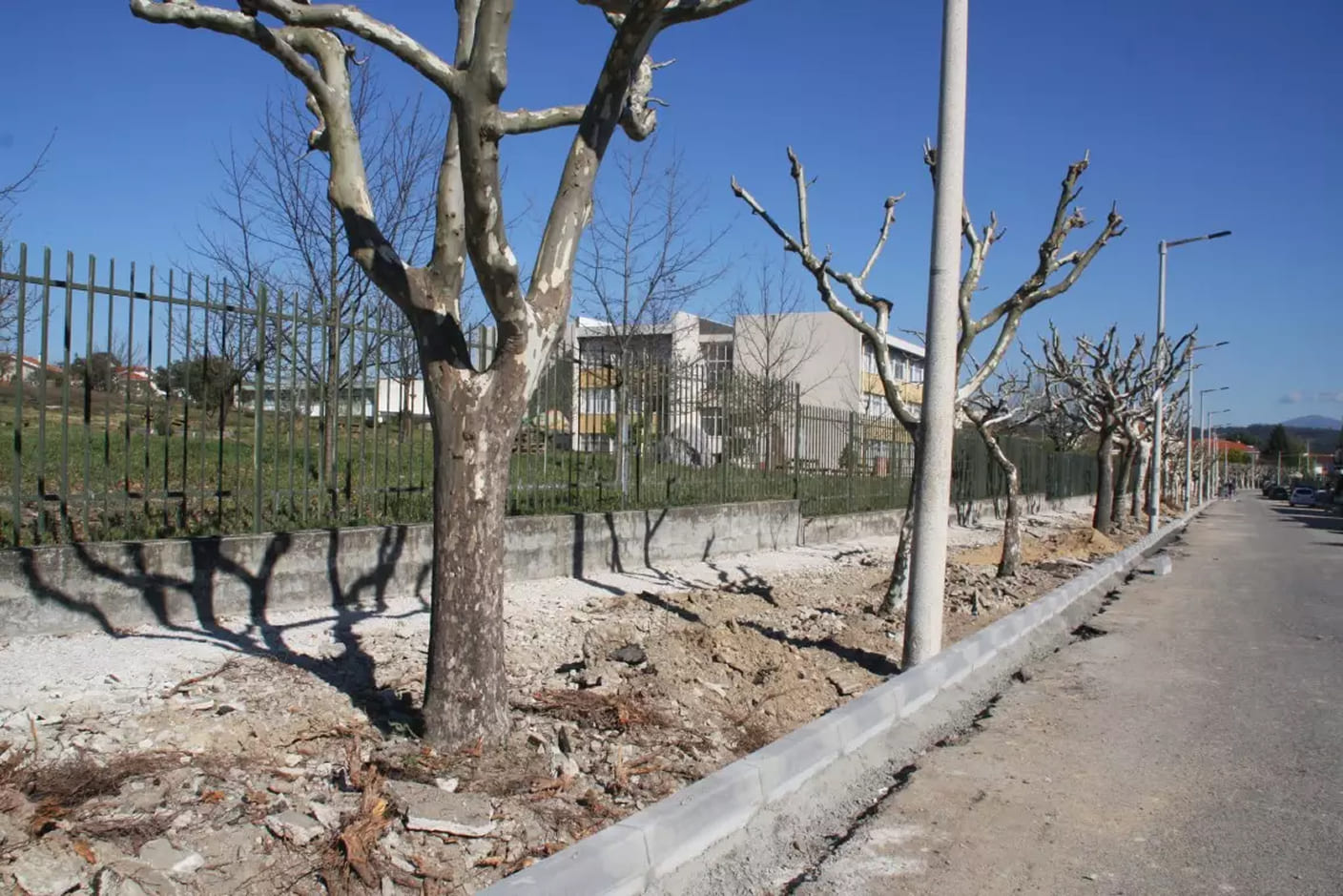 Trabalhos de requalificação num passeio arborizado