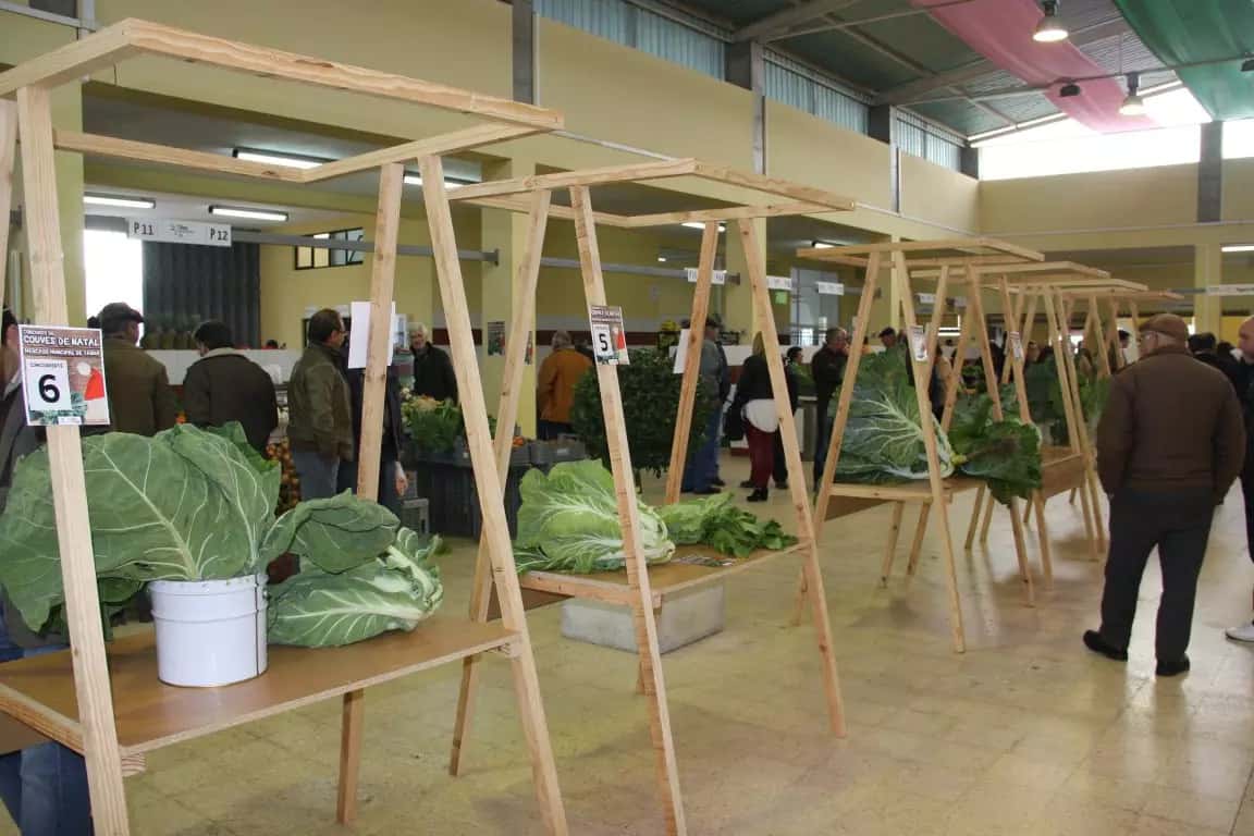 Bancas de hortícolas instaladas no Mercado Municipal