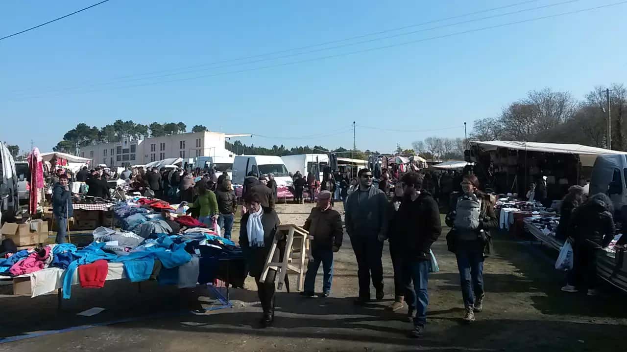 Vista geral da feira com bancas e visitantes