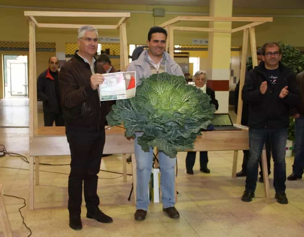 Entrega de uma couve num encontro dedicado à agricultura