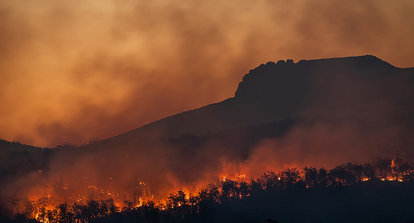 Incêndio florestal avança numa encosta